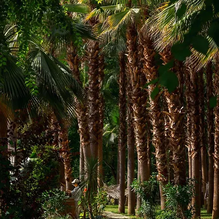 B&B Layla Gocek Adults Only 4*