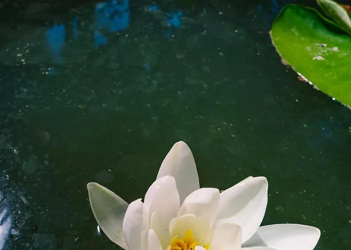 Hotel Layla Gocek Adults Only 4*