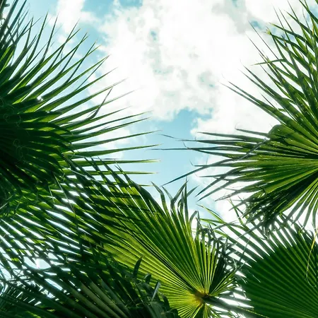 Layla Gocek Adults Only Frühstückspension Göcek