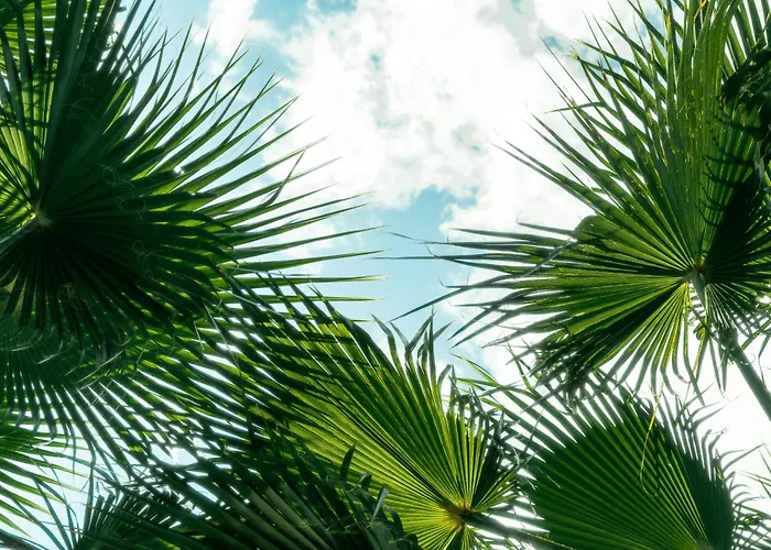 Layla Gocek Adults Only ホテル ギョジェク