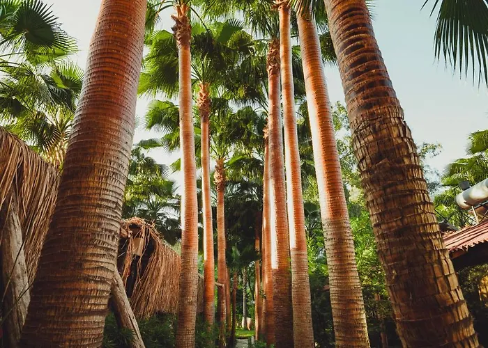 Layla Gocek Adults Only ホテル