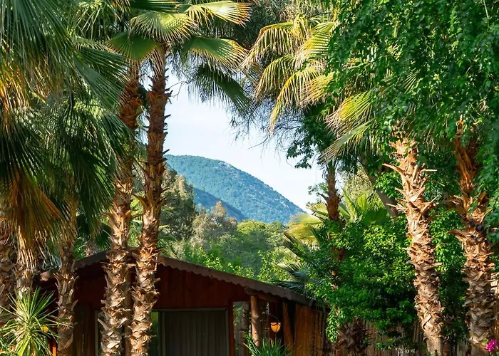 Layla Gocek Adults Only