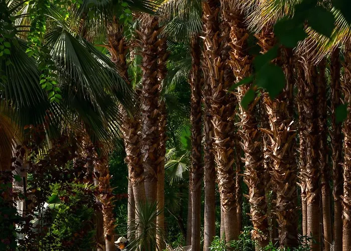 ホテル Layla Gocek Adults Only 4*